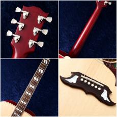 Gibson Dove Original AN '24 【USED】【48回無金利】【美品】【買取・下取強化中】【クロサワ町田店】_5
