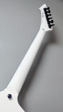 LTD SNAKEBYTE -Snow White- W26020068【4.06kg】_7