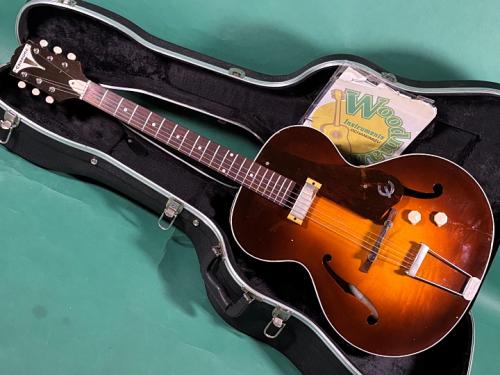 Epiphone CENTURY