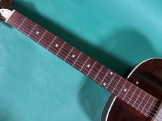 Epiphone CENTURY_7