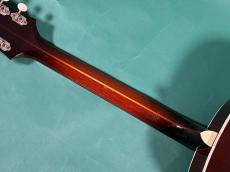 Epiphone CENTURY_8