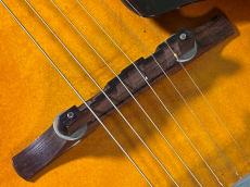 Epiphone CENTURY_10