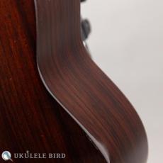 ASTURIAS Solo Ukulele Spruce Rosewood_11
