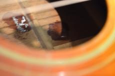 Gibson Southern Jumbo　1969年製_13