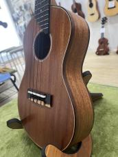 長崎祐一 Nagasaki Yuichi  Honduran Mahogany Concert_3