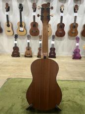 長崎祐一 Nagasaki Yuichi  Honduran Mahogany Concert_6