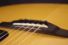 YAMAHA LL86 ARE Custom_6