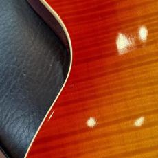 Epiphone Les Paul Standard Plus Top Pro_6