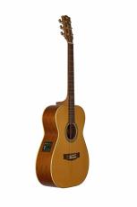 Maton 【7月入荷予定!!】【ご予約ページ】Masterbilt TE Personal【究極のシグネイチャーモデル】_4