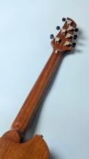 dragonfly maroon bc custom Chamber Natural 【3.4kg】_9