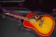 Gibson DOVE_2