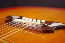 Gibson DOVE_6