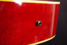 Gibson DOVE_7
