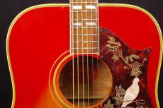 Gibson DOVE_8