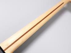 FUJIGEN JJB-5R -3TS-【3.72kg】 _9