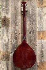 HORA Octave Mandolin M1087【オクターブマンドリン】_6