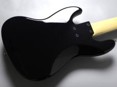 FUJIGEN NJB100RALV -Black-【4.78kg】_7