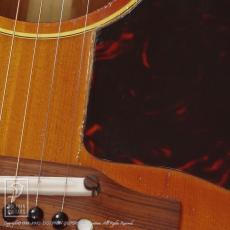 Gibson J-45【デモ動画掲載】_12