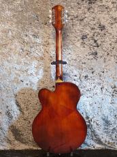 Gretsch 6119 Chet Atkins Tennessean Hollow Body '63~'64_2