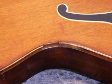 Gretsch 6119 Chet Atkins Tennessean Hollow Body '63~'64_9