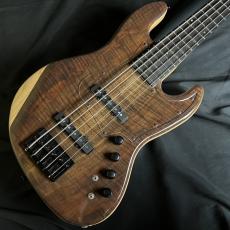 HISTORY HP-B5A/E_Custom