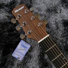 Morris F-011LH Left-Handed HS -Performers Edition-【アクセサリーセットサービス!】【レフティ】_4