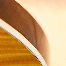 Gibson Les Paul Supreme_8