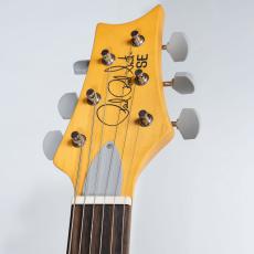 Paul Reed Smith [PRS] SE Silver Sky Evergreen【ポールリードスミス】_4