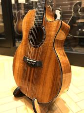 Taylor C24ce B5043 Custom GA,Koa(AA)【NAMM Customs 2025】