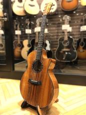 Taylor C24ce B5043 Custom GA,Koa(AA)【NAMM Customs 2025】_2