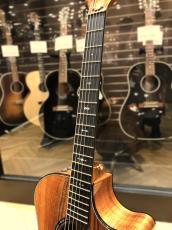 Taylor C24ce B5043 Custom GA,Koa(AA)【NAMM Customs 2025】_4