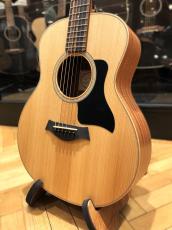 Taylor GS Mini