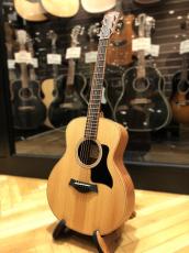 Taylor GS Mini_2