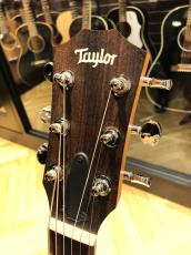 Taylor GS Mini_3