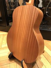 Taylor GS Mini_5