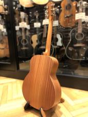 Taylor GS Mini_6