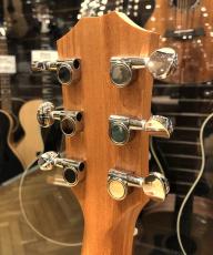 Taylor GS Mini_7