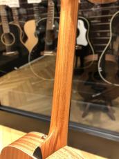 Taylor GS Mini_8