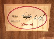 Taylor GS Mini_9