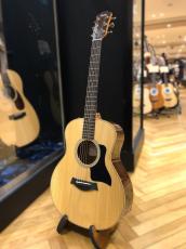 Taylor GS Mini-e Rosewood Plus_2