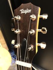 Taylor GS Mini-e Rosewood Plus_3