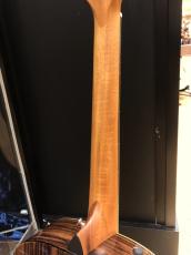 Taylor GS Mini-e Rosewood Plus_8