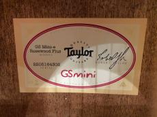 Taylor GS Mini-e Rosewood Plus_9