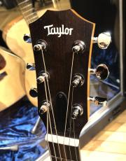 Taylor GS Mini-e LTD Blue Burst_3