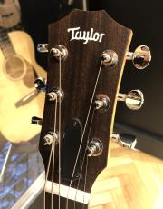 Taylor GS mini-e LTD Paisley Burst_3