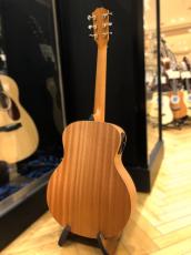 Taylor GS mini-e LTD Paisley Burst_5