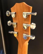 Taylor GS mini-e LTD Paisley Burst_6