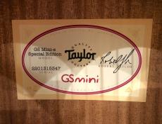 Taylor GS mini-e LTD Paisley Burst_8