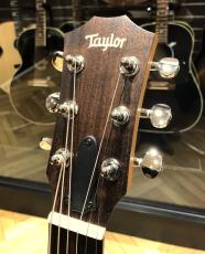 Taylor GS Mini-e Special Edition Fuchsia Pink Paisley_3