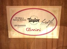 Taylor GS Mini-e Special Edition Fuchsia Pink Paisley_9